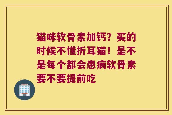 猫咪软骨素加钙?买的时候不懂折耳猫!是不是每个都会患病软骨素要不要提前吃