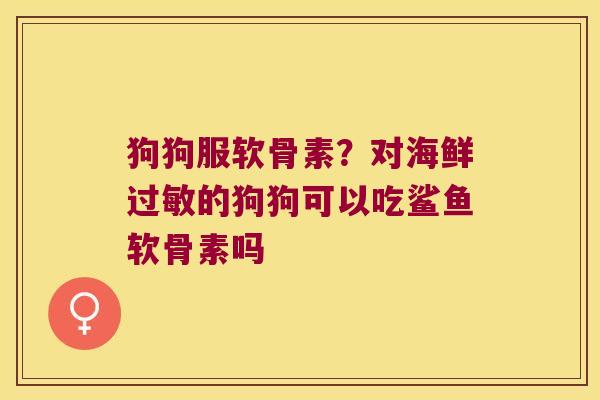 狗狗服软骨素?对海鲜过敏的狗狗可以吃鲨鱼软骨素吗