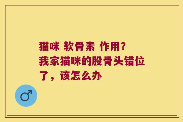 猫咪 软骨素 作用?我家猫咪的股骨头错位了,该怎么办