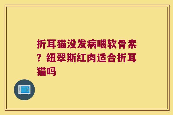 折耳猫没发病喂软骨素？纽翠斯红肉适合折耳猫吗
