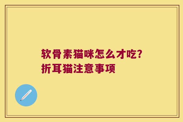软骨素猫咪怎么才吃？折耳猫注意事项