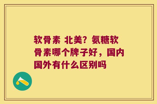 软骨素 北美?氨糖软骨素哪个牌子好,国内国外有什么区别吗