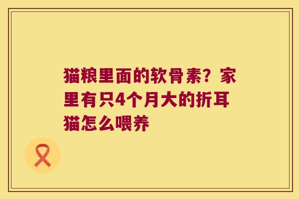 猫粮里面的软骨素?家里有只4个月大的折耳猫怎么喂养 猫粮里面的软骨素?家里有只4个月大的折耳猫怎么喂养