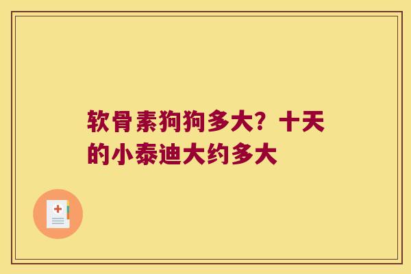 软骨素狗狗多大?十天的小泰迪大约多大