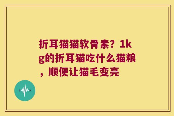 折耳猫猫软骨素？1kg的折耳猫吃什么猫粮，顺便让猫毛变亮