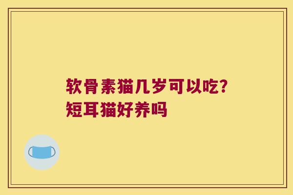 软骨素猫几岁可以吃?短耳猫好养吗