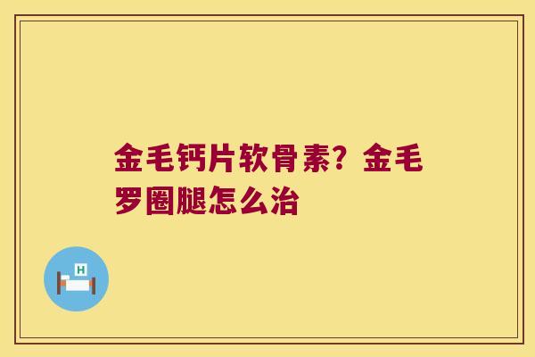 金毛钙片软骨素?金毛罗圈腿怎么治