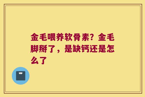 金毛喂养软骨素?金毛脚掰了,是缺钙还是怎么了 金毛喂养软骨素?金毛脚掰了,是缺钙还是怎么了