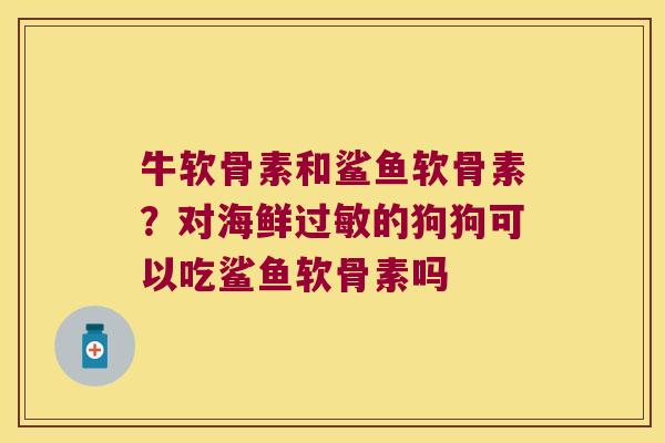牛软骨素和鲨鱼软骨素？对海鲜的狗狗可以吃鲨鱼软骨素吗