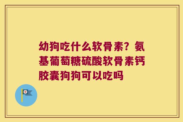 幼狗吃什么软骨素?氨基葡萄糖硫酸软骨素钙胶囊狗狗可以吃吗 幼狗吃什么软骨素?氨基葡萄糖硫酸软骨素钙胶囊狗狗可以吃吗