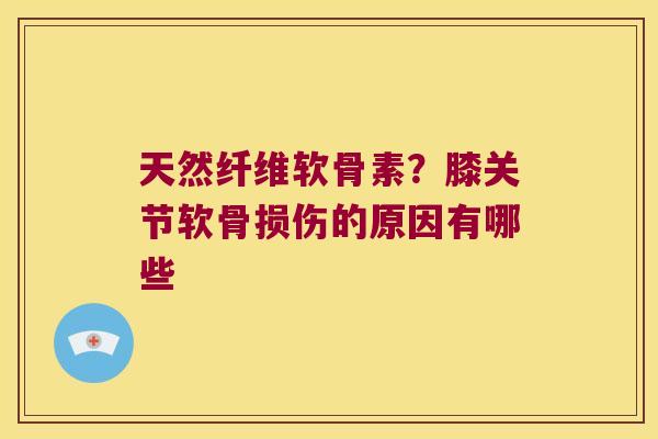 天然纤维软骨素?膝关节软骨损伤的原因有哪些