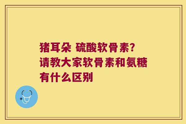 猪耳朵 硫酸软骨素?请教大家软骨素和氨糖有什么区别