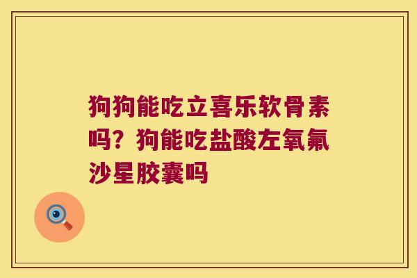 狗狗能吃立喜乐软骨素吗?狗能吃盐酸左氧氟沙星胶囊吗