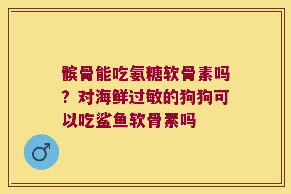 髌骨能吃氨糖软骨素吗？对海鲜过敏的狗狗可以吃鲨鱼软骨素吗