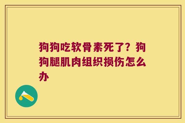 狗狗吃软骨素死了?狗狗腿肌肉组织损伤怎么办
