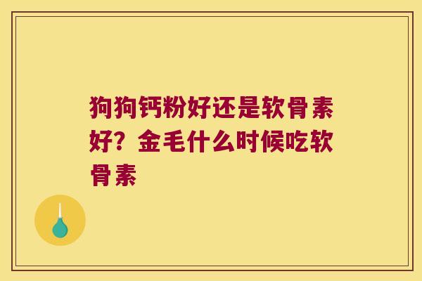狗狗钙粉好还是软骨素好?金毛什么时候吃软骨素