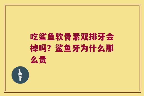 吃鲨鱼软骨素双排牙会掉吗？鲨鱼牙为什么那么贵
