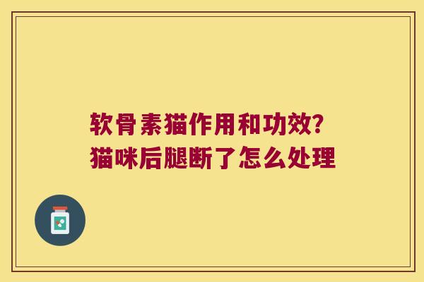 软骨素猫作用和功效?猫咪后腿断了怎么处理