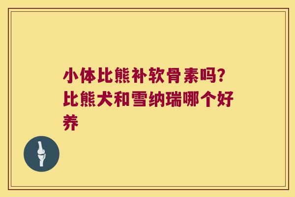 小体比熊补软骨素吗?比熊犬和雪纳瑞哪个好养