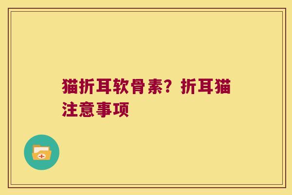 猫折耳软骨素?折耳猫注意事项