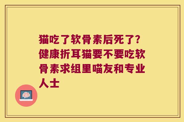 猫吃了软骨素后死了?健康折耳猫要不要吃软骨素求组里喵友和专业人士