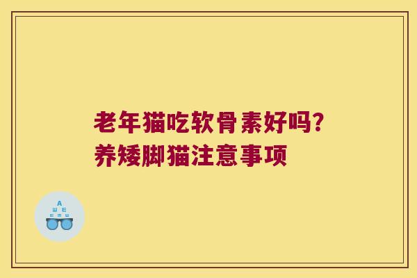 老年猫吃软骨素好吗?养矮脚猫注意事项
