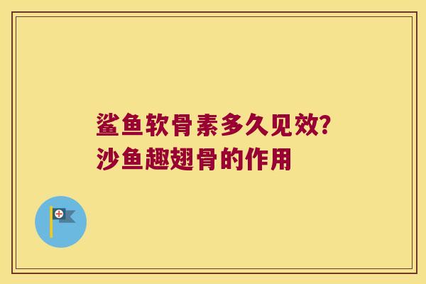 鲨鱼软骨素多久见效？沙鱼趣翅骨的作用