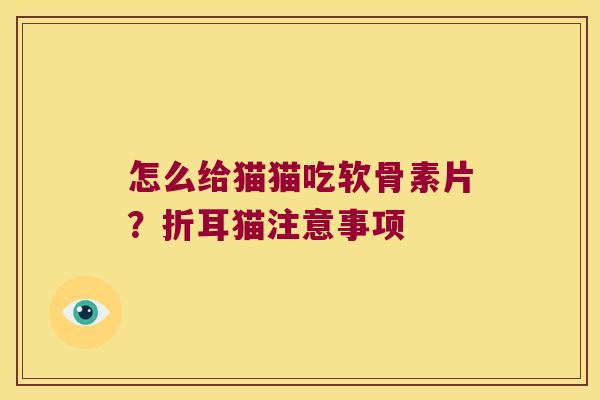 怎么给猫猫吃软骨素片?折耳猫注意事项