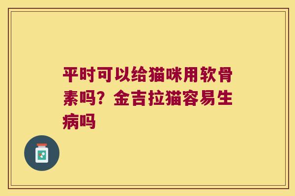 平时可以给猫咪用软骨素吗?金吉拉猫容易生病吗