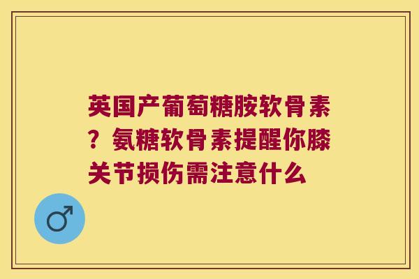 英国产葡萄糖胺软骨素?氨糖软骨素提醒你膝关节损伤需注意什么