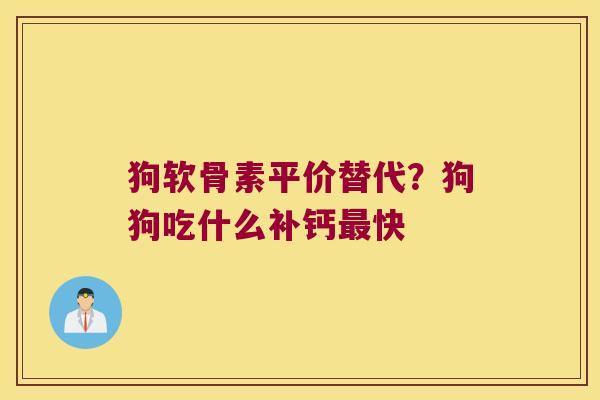 狗软骨素平价替代?狗狗吃什么补钙最快