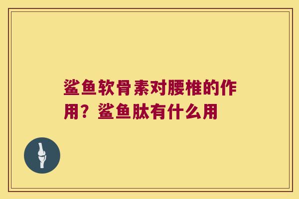鲨鱼软骨素对腰椎的作用?鲨鱼肽有什么用