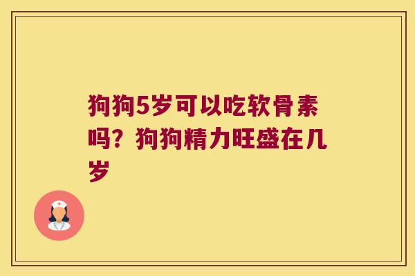 狗狗5岁可以吃软骨素吗?狗狗精力旺盛在几岁