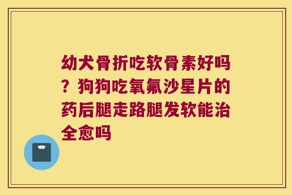幼犬骨折吃软骨素好吗?狗狗吃氧氟沙星片的药后腿走路腿发软能治全愈吗