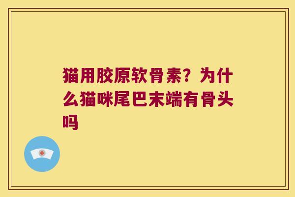 猫用胶原软骨素?为什么猫咪尾巴末端有骨头吗
