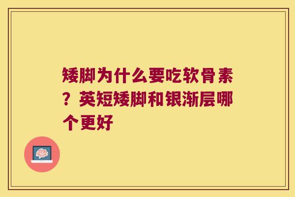 矮脚为什么要吃软骨素?英短矮脚和银渐层哪个更好