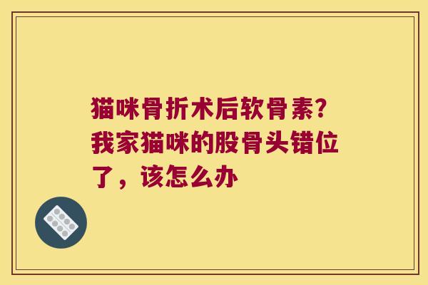 猫咪骨折术后软骨素？我家猫咪的股骨头错位了，该怎么办