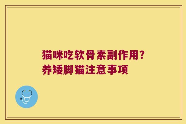 猫咪吃软骨素副作用?养矮脚猫注意事项