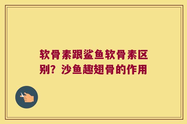 软骨素跟鲨鱼软骨素区别?沙鱼趣翅骨的作用