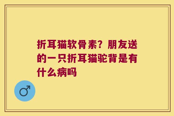 折耳猫软骨素?朋友送的一只折耳猫驼背是有什么病吗
