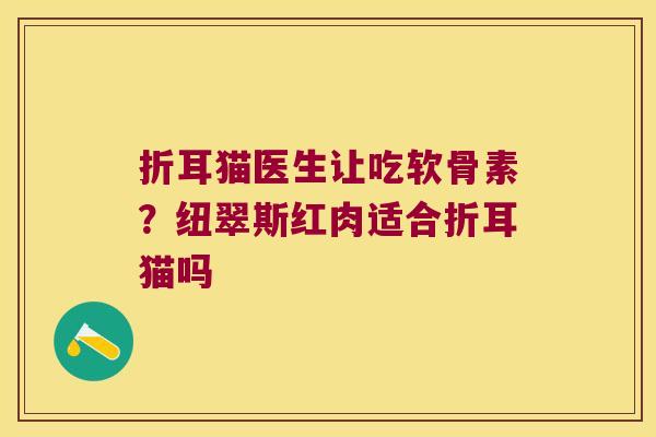 折耳猫医生让吃软骨素?纽翠斯红肉适合折耳猫吗