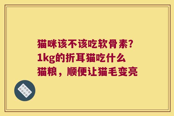 猫咪该不该吃软骨素?1kg的折耳猫吃什么猫粮,顺便让猫毛变亮