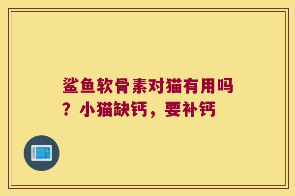 鲨鱼软骨素对猫有用吗?小猫缺钙,要补钙
