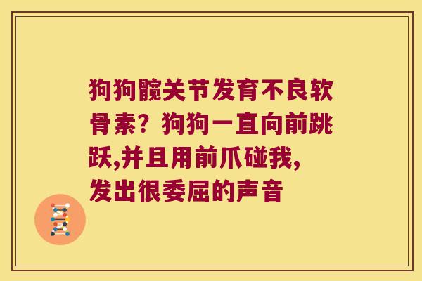 狗狗髋关节发育不良软骨素？狗狗一直向前跳跃,并且用前爪碰我,发出很委屈的声音