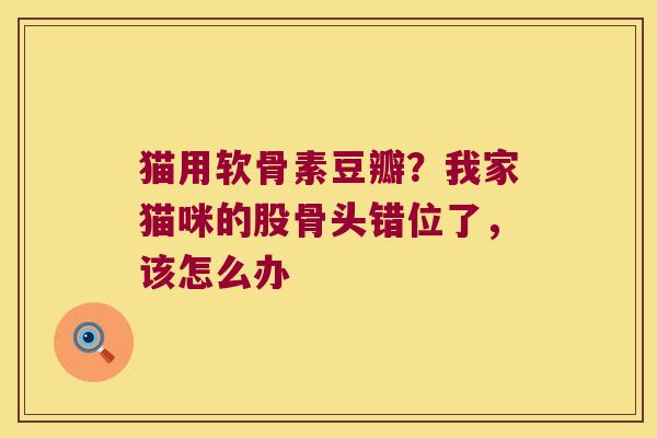 猫用软骨素豆瓣？我家猫咪的股骨头错位了，该怎么办