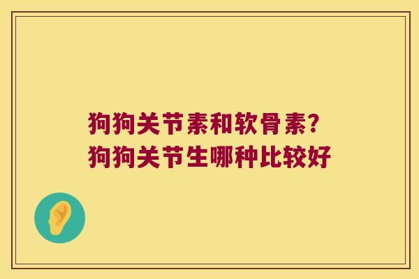 狗狗关节素和软骨素?狗狗关节生哪种比较好