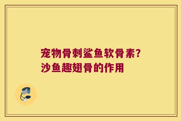 宠物骨刺鲨鱼软骨素?沙鱼趣翅骨的作用