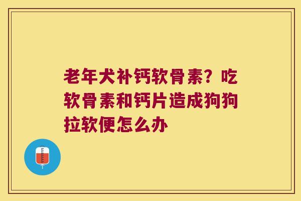 老年犬补钙软骨素?吃软骨素和钙片造成狗狗拉软便怎么办