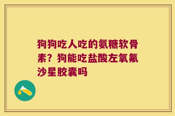 狗狗吃人吃的氨糖软骨素?狗能吃盐酸左氧氟沙星胶囊吗