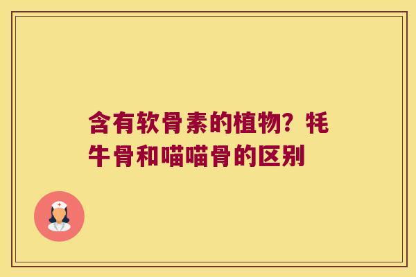 含有软骨素的植物?牦牛骨和喵喵骨的区别